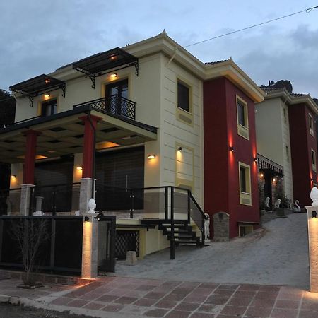Apartamento Dominique Meteora House Kalambaka Exterior foto